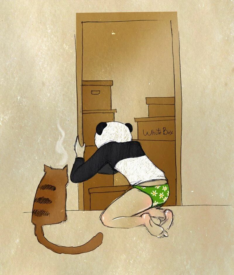 Запусти барсика. White Box кот Барсик. Девочка Панда и кот Барсик. Девочка Панда и кот Барсик White Box. Девушка Панда и кот.