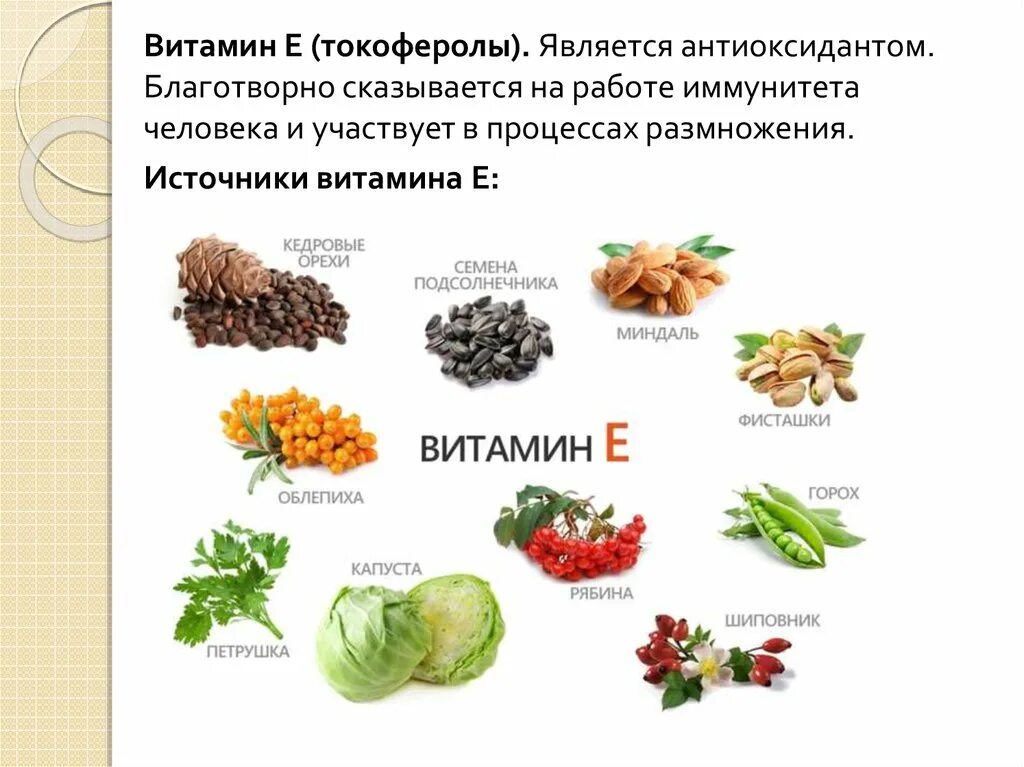 В каких продуктах содержится витамин а и е для детей. Витамины а + е. Витамин e. Витамин е в овощах и фруктах.