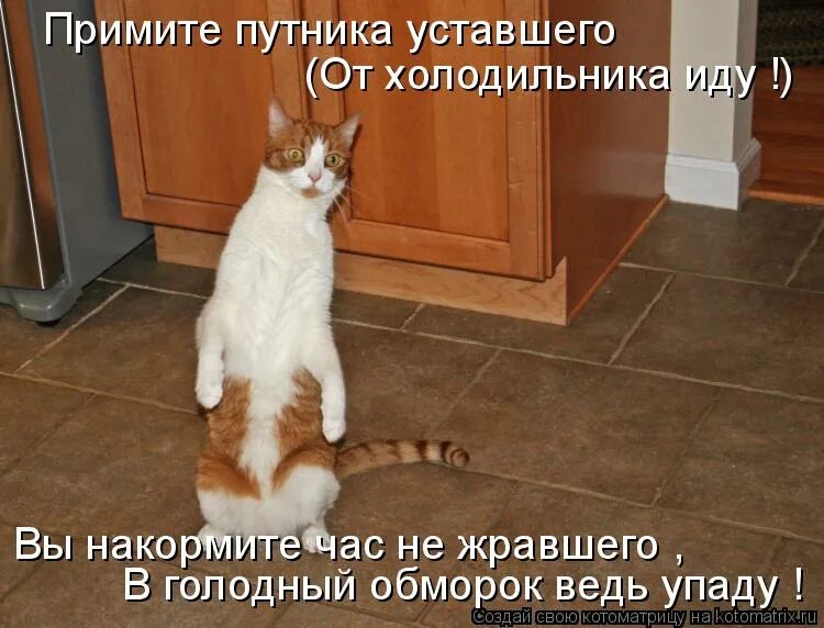 не люблю гостей в доме