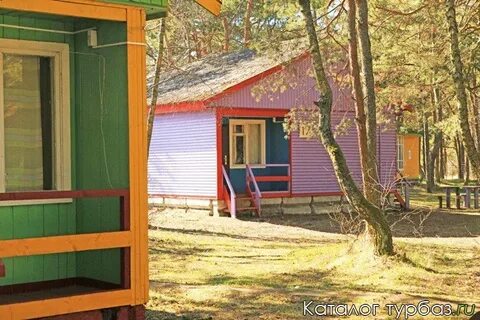 Турбаза куршская коса