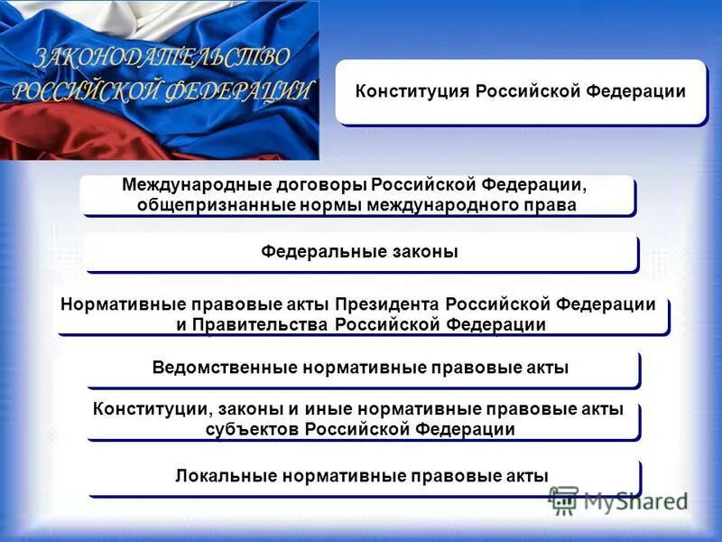 Конституция международное законодательство