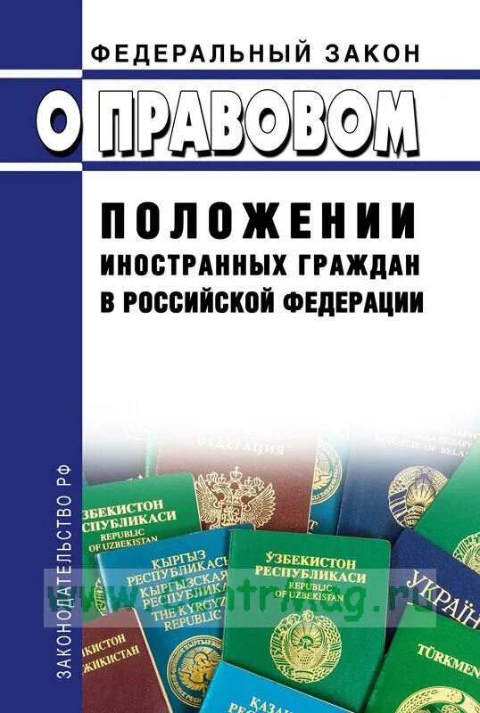 Изменения фз 115 от 2002. ФЗ об иностранных гражданах. О правовом положении иностранных граждан в Российской Федерации. 115 ФЗ О правовом положении иностранных граждан. ФЗ "О правовом положении иностранцев в РФ".