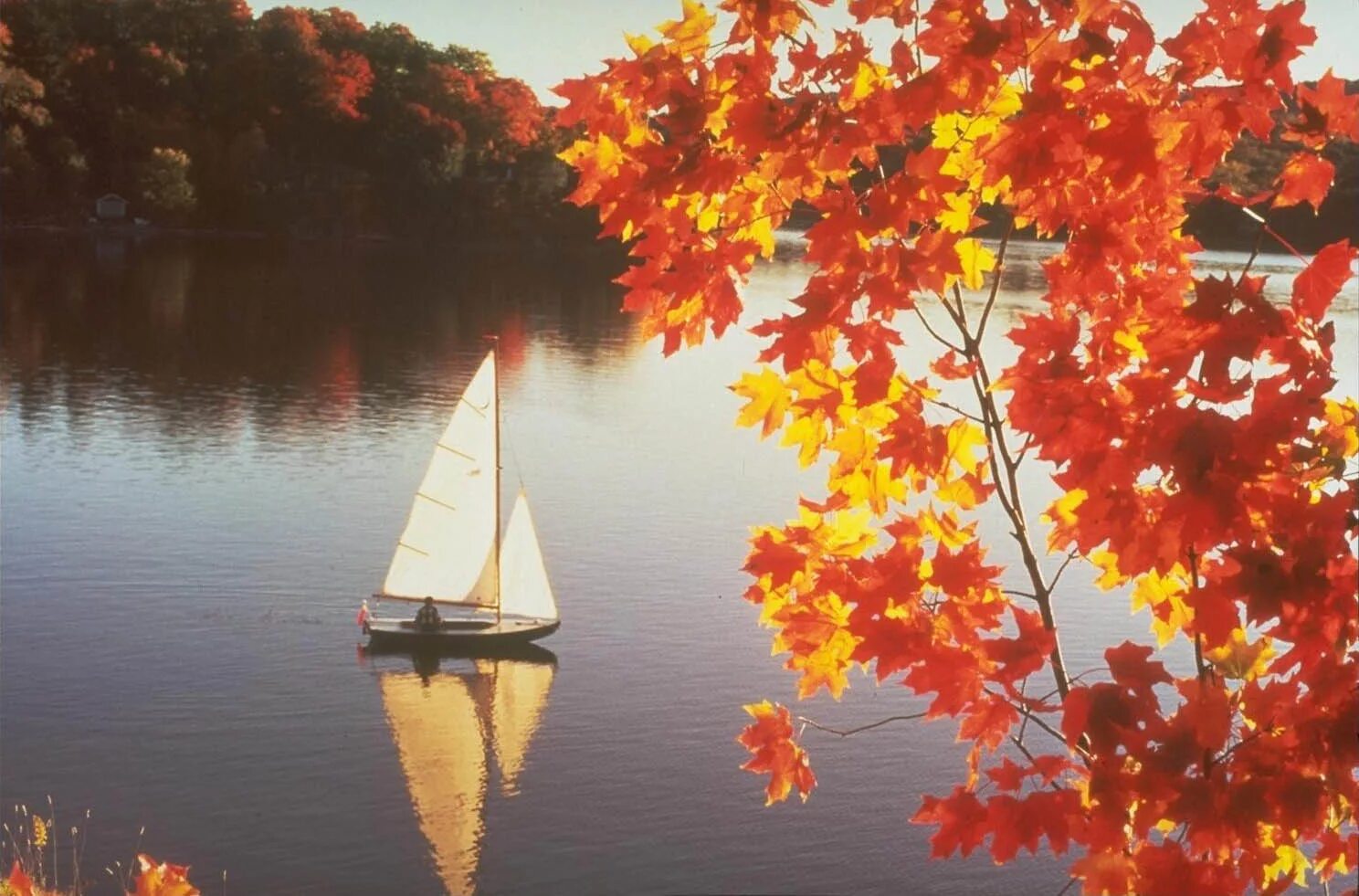 Что будет в стране в октябре. Осеннее море. Корабль осень. Осенние кораблики. Осень парусник.