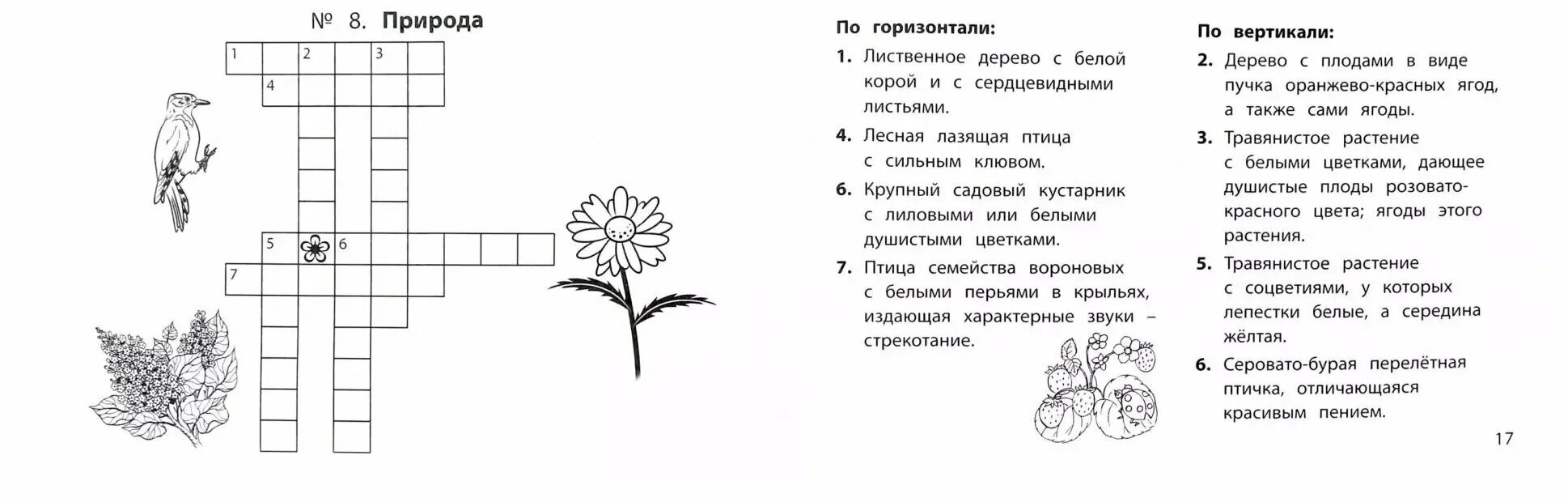 Вежливый сканворд. Кроссворды для нач школы. Кроссворд для начальной школы. Кроссворд растения для детей. Словарные кроссворды для начальной школы.