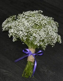 Как ухаживать за гипсофилой в букете