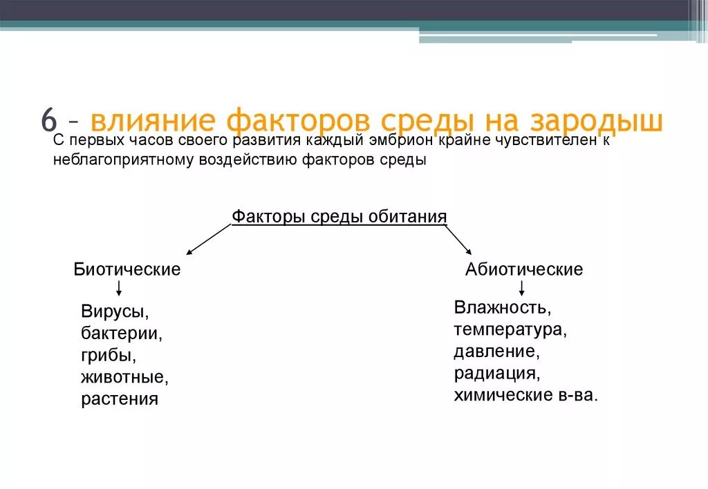 Влияние окружающей среды на развитие организмов. Схема влияние факторов среды на развитие плода. Схема влияния факторов внешней среды на онтогенез. Влияние факторов среды на эмбрион. Влияние факторов внешней и внутренней среды на онтогенез человека.