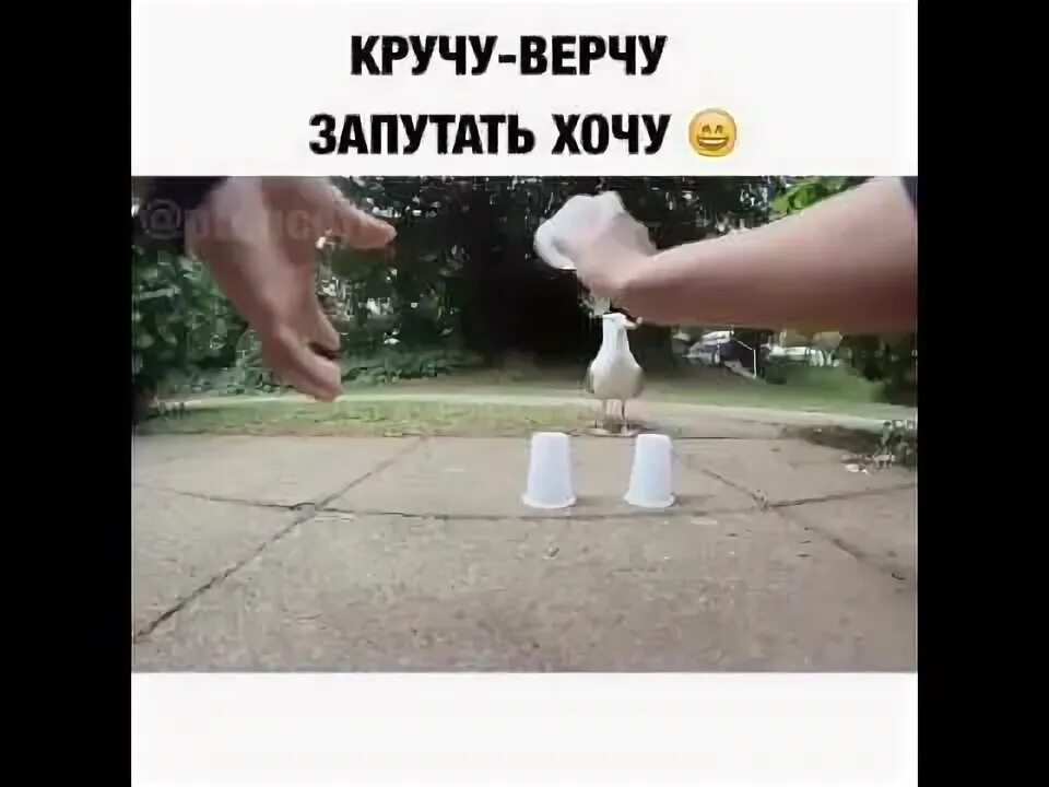 Крутись как хочешь