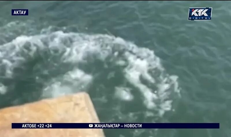 Поджог каспийского моря что это. Утонули в Каспийском море. Вода в Каспийском море.