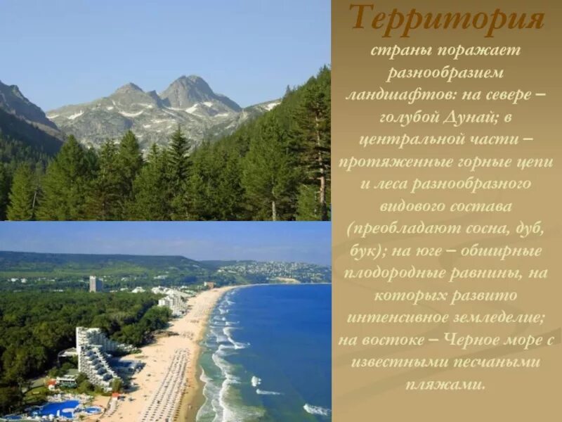 Поражает своим разнообразием