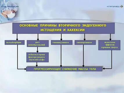 Нарушения липидного обмена по утвержденным клиническим рекомендациям