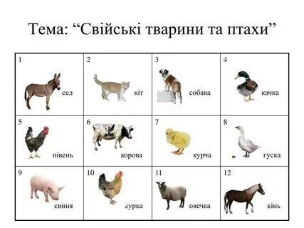 Таблица домашние животные