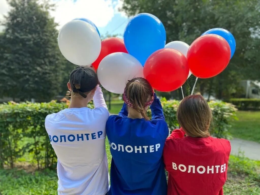 Почти вдвое увеличилось. Волонтерская деятельность. Волонтеволонтерская деятельность. Волонтерство и волонтерская деятельность. Добровольчество и волонтерство в России.