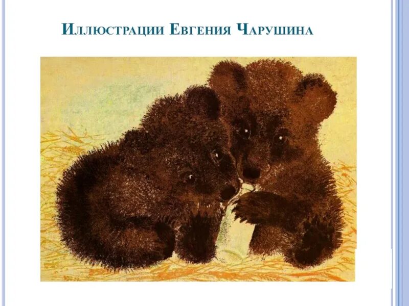 Урок изо 1 класс изображать можно пятном. Занятие по чарушину. медведь из пятна. изображение пятном зверушка.