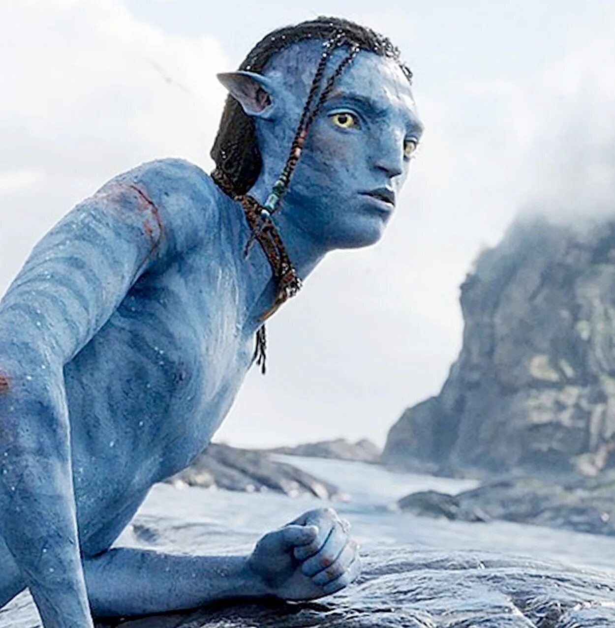Avatar world 2024 год. Лорак аватар 2.