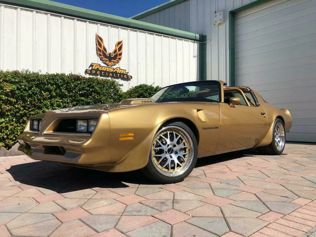 Gold special. Pontiac Trans am 1978. Pontiac Trans am 1979 Gold. Pontiac Trans am Gold. Pontiac Trans am золотой.