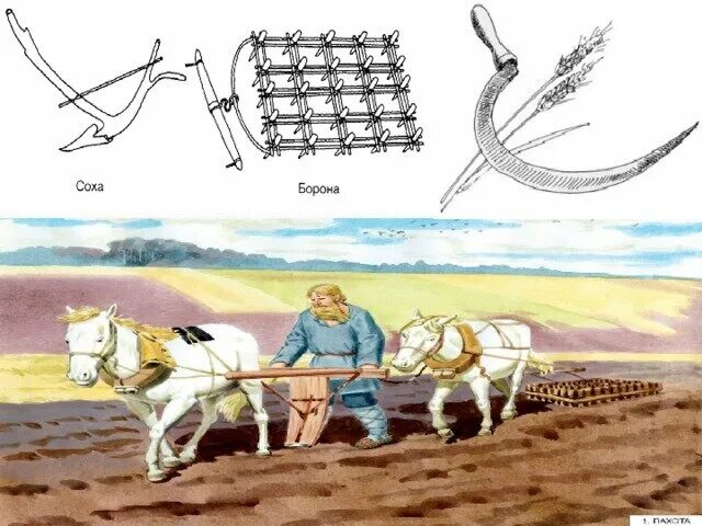 Соха орудие труда у славян. Соха у восточных славян. Хозяйство славян Соха и борона. Орудие труда плуг Соха и борона.