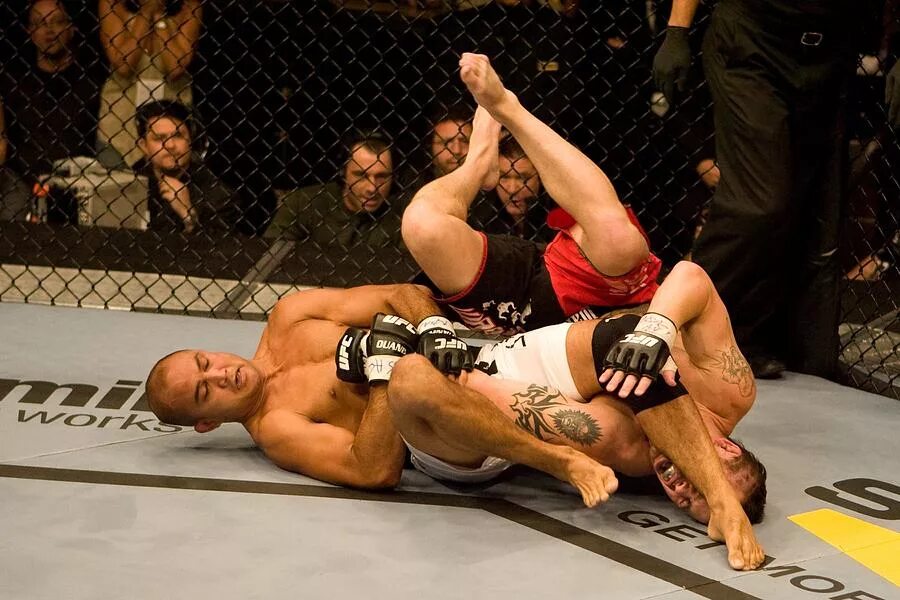 Bars fighting