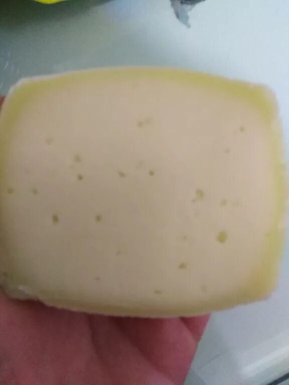 Домашний сыр качотта рецепт. Сырная корочка. Сыр Качотта в разрезе. Качотта с пажитником в разрезе. Качотта козий сыр в разрезе.