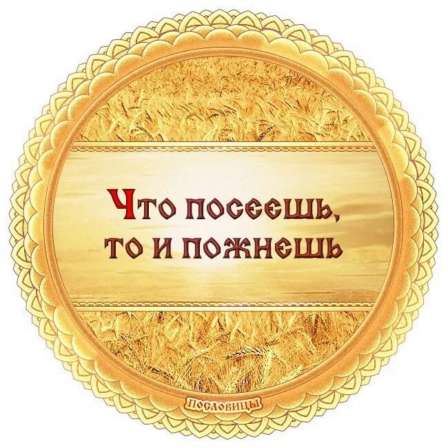Что посеешь то и пожнешь примеры. Что пессешь то и пожмеш.. что посеешь тои пжнешь. поговорка что посеешь то и пожнешь. картинка к пословице что посеешь то и пожнёшь.