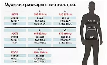 Рост 172 для мужчины. Рост 166 мужчина. Рост 158 и 170 сравнение. Параметры парня ростом 160 см. Рост 175 и 182.