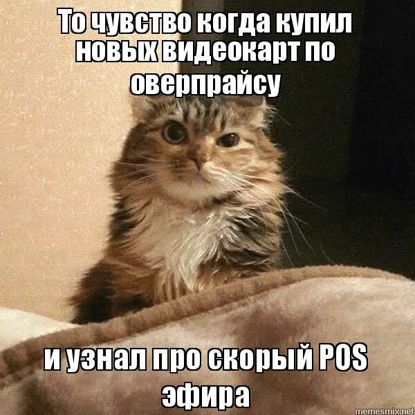 оверпрайс. оверпрайс что значит. оверпрайс что это. Seagate exos x16 14 тб st14000nm003g. оверпрайс что это.