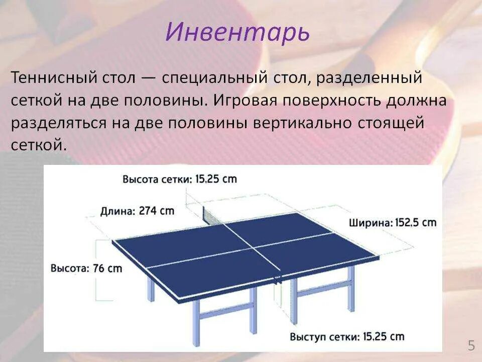 Высота сетки в настольном теннисе. Презентация по настольному теннису. Доклад по настольному теннису. Настольный теннис презентация. Стол и инвентарь для настольного тенниса.