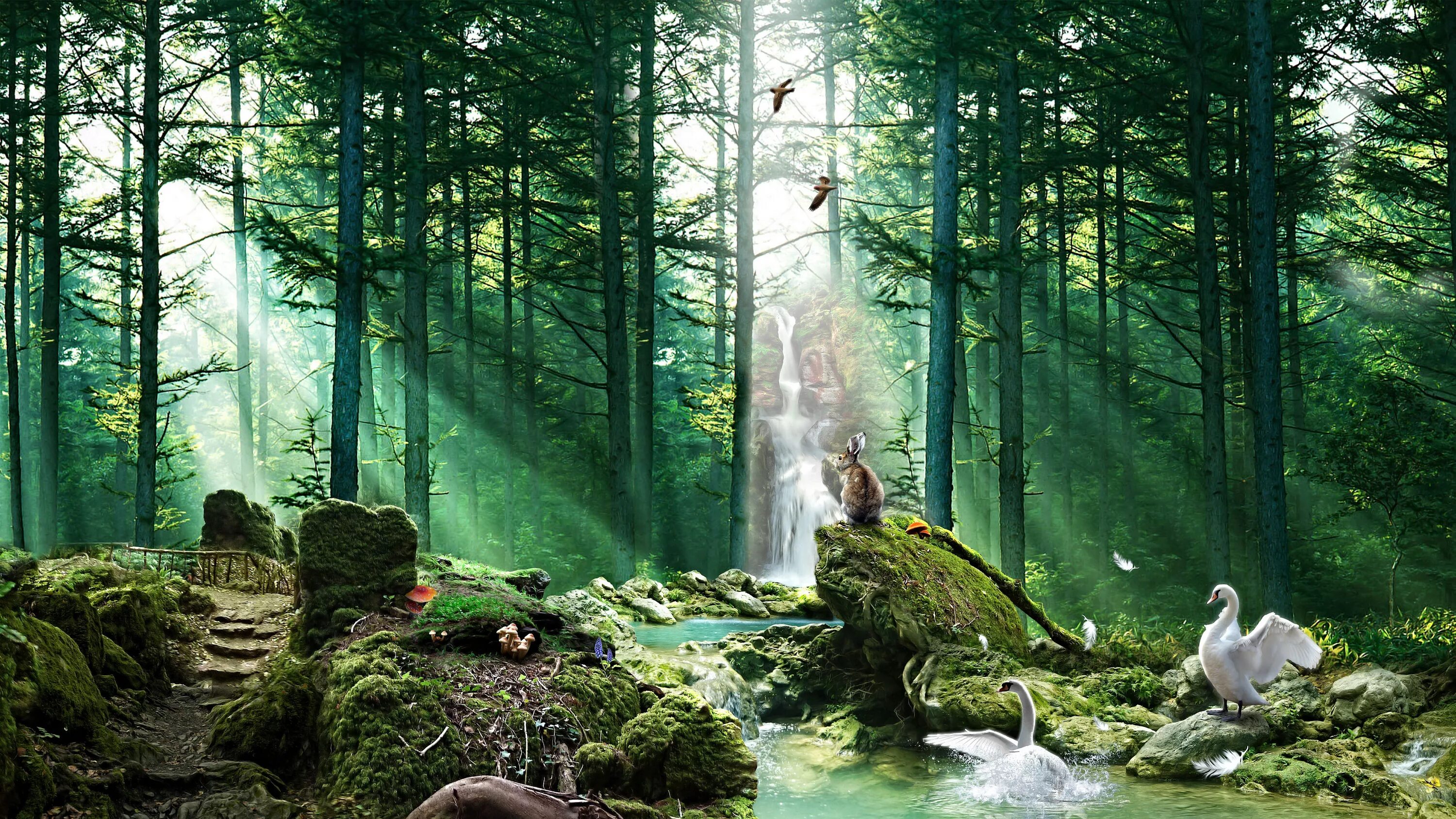 демотиваторы про лес. человек в лесу. пошли в лес. заблудившийся в лесу живопись. приколы в лесу.