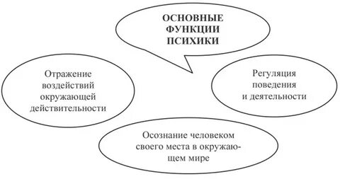 Каковы основные функции психики