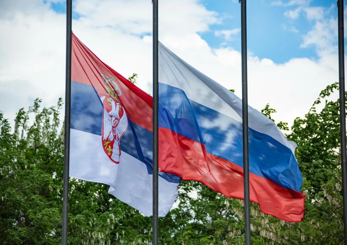 С другом рф. Российско-сербские отношения. Сербия против ЕС. Сербия Россия Украина. ЕС Сербия Россия.