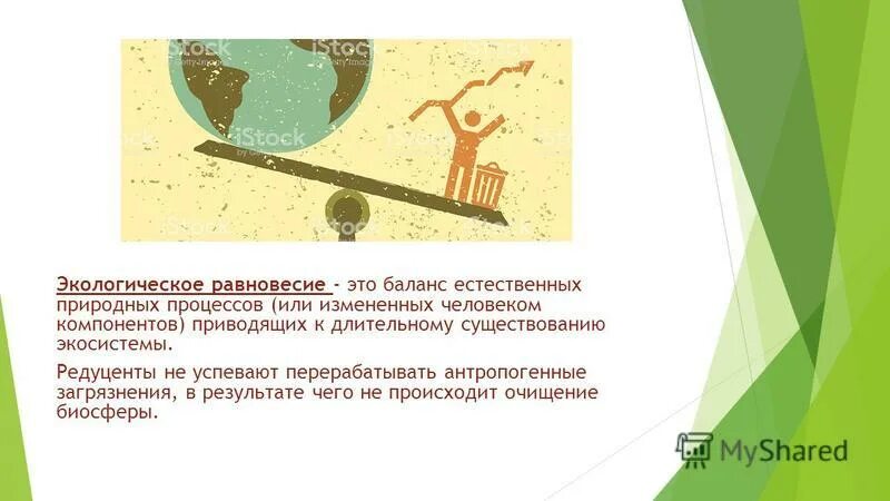экологическое равновесие это определение. равновесие в экологии. экологическое равновесие экосистемы. экология весы. экологическое равновесие.