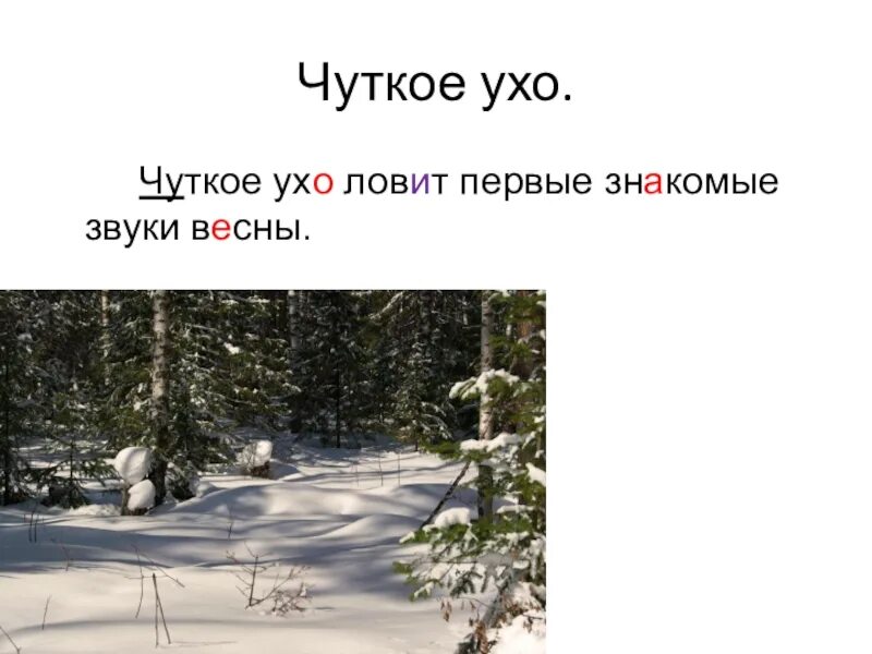 Первые звуки весны. Март в лесу изложение. Рассказ март в лесу. Чуткое ухо ловит знакомые звуки весны. Март в лесу 3 класс.