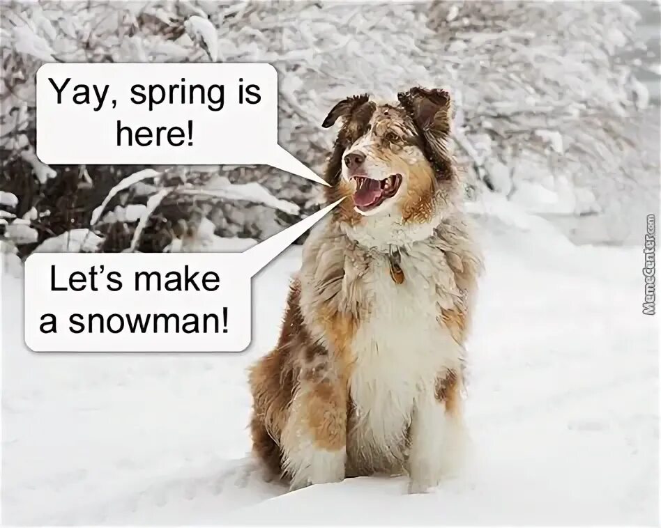 Spring is here goodbye snow. Spring is here spring is here. spring is here текст. spring is here song. spring is here стих.