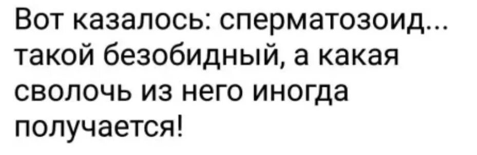 Что такое сволочь. Человек- это такая сволочь.... Вот казалось сперматозоид. Сперматозоид такой безобидный. Казалось бы сперматозоид такой безобидный.