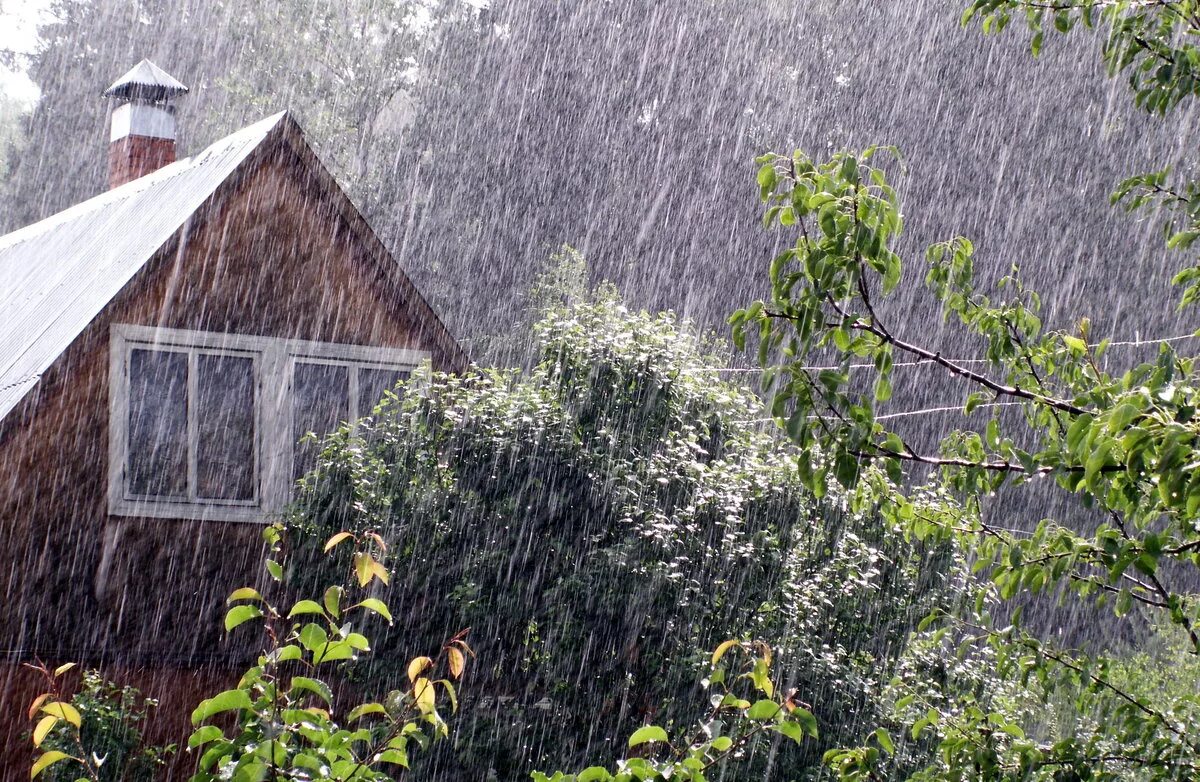 Дождь на даче. Проливной дождь в деревне. Деревенский дом дождь. Дождик в деревне.