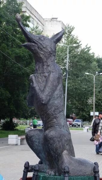 Лиса кингисепп