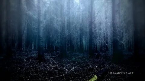 Skog iii