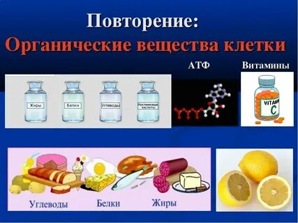 Химический состав клетки белок
