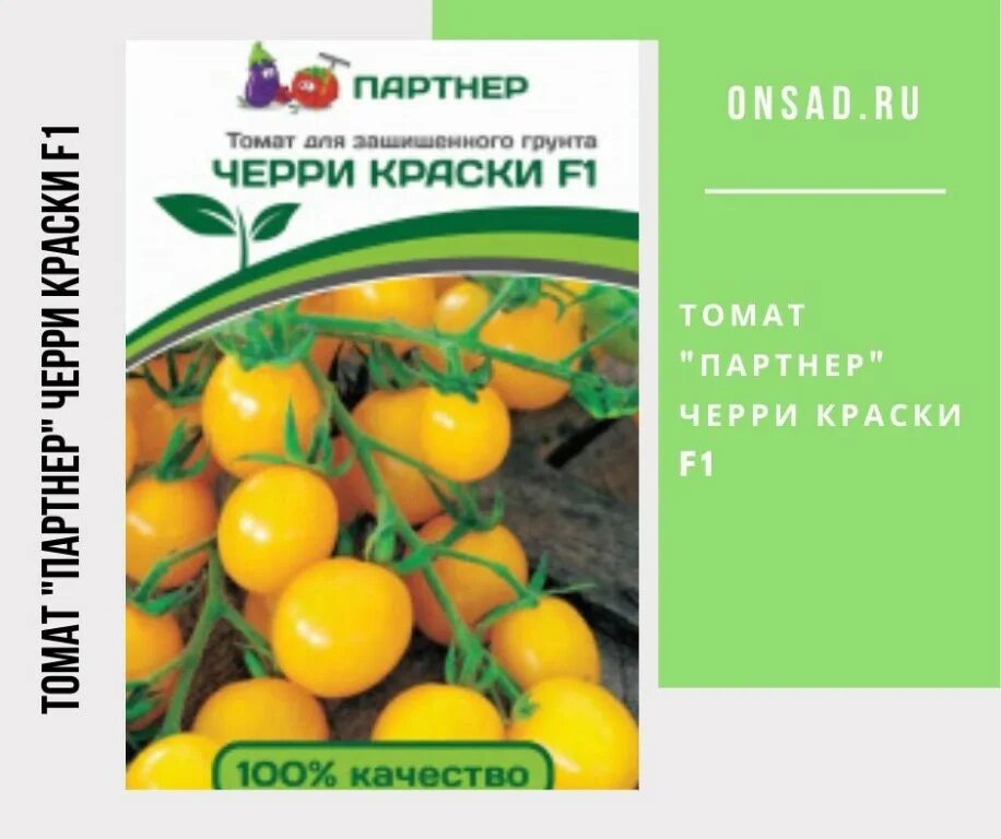 Томат краски партнер. Томат краски партнер. Томат черри краски. Томат краски партнер. Томат краски партнер.