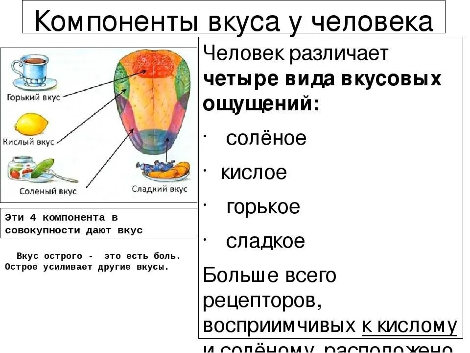 Ем не чувствую вкуса. Основные виды вкусовых ощущений. 4 Основных вкуса у человека. Какие вкусы есть у человека.