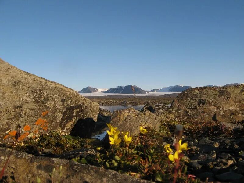 Георгий седов маршрут экспедиции. Новая земля краткое содержание. Остров южный архипелага новая земля. Новая земля краткое содержание. Площадь острова новая земля.