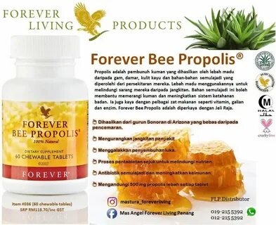 Bee living
