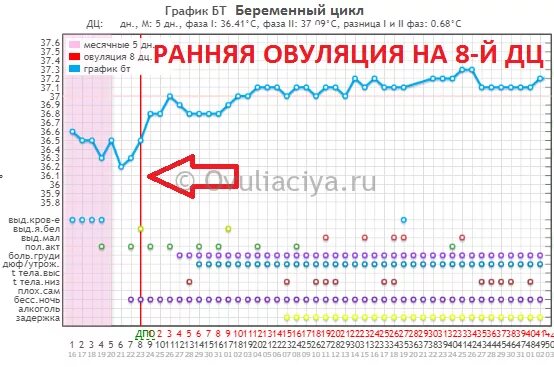 Овуляция зачатие признаки. Беременность с ранней овуляцией график БТ. Беременный график с ранней овуляцией. Беременные графики БТ С ранней овуляцией. Возможна ли беременность после овуляции.