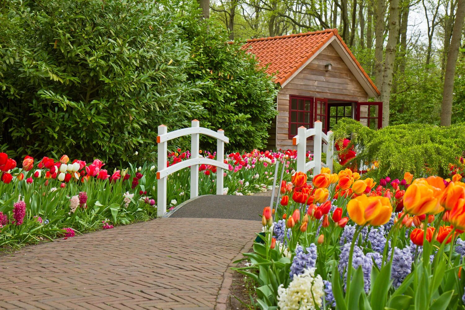 Цветы весной на даче фото. Цветы в саду. Весенний сад. Дачные цветы. Цветы на садовом участке.
