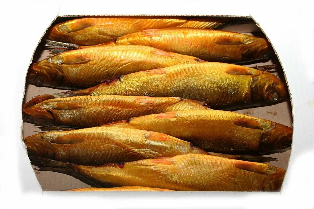 Аллигатор, рыба и морепродукты, Тюльпановая ул., 173, д. Чёрное - Яндекс Карты