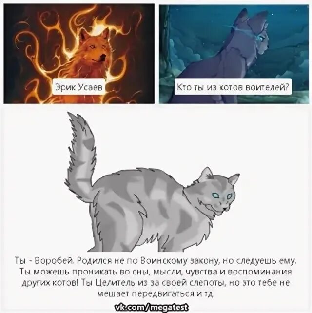 Как тебе относится коты воители. Коты воители тесты. коты воители тесты трикки. тест коты воители кто ты. коты воители тесты как к тебе отнесутся.
