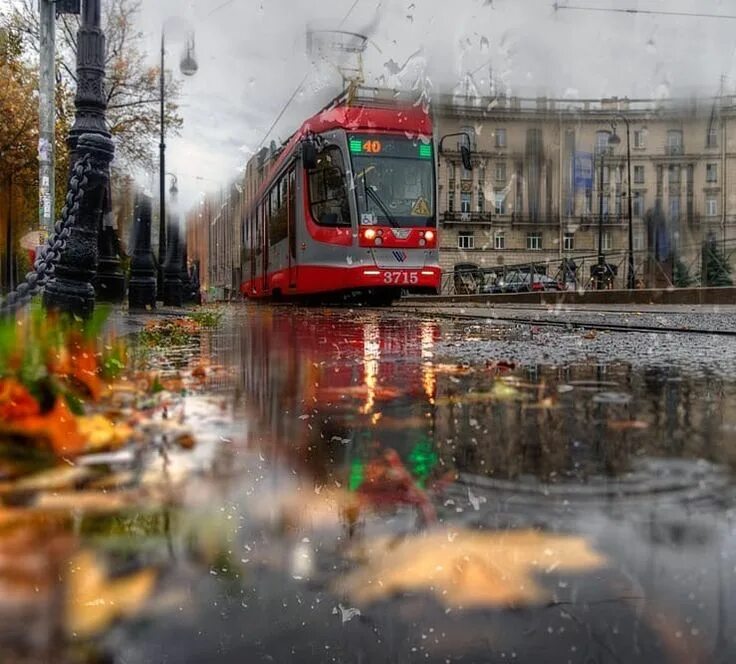 Петербург осень дождь. Петербург осень дождь. Дождь в петербурге. Дождь в питере. Петербург осень дождь.