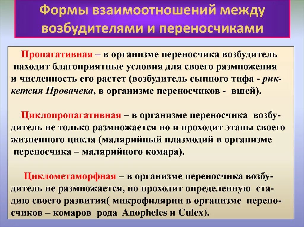 Какие отношения складываются между организмами. Формы взаимоотношения паразита и переносчика. Типы взаимоотношения между возбудителем и переносчиком. Формы взаимоотношений между паразитом и его переносчиком. Формы взаимоотношения организмов.