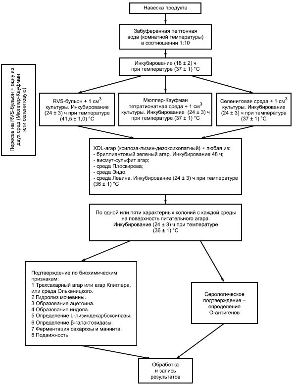 Схема микробиологического исследования сальмонелл. Схема выявления бактерий рода сальмонелла. Продукты пищевые метод выявления бактерий рода Salmonella схема. Схема исследования на сальмонеллез. Исследование на сальмонеллез