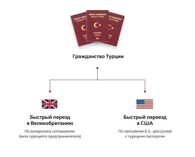 Гражданство какой страны легче всего. Получение гражданства Турции. Турецкое гражданство для россиян. Гражданство Турции за инвестиции. Гражданство Турции для россиян.