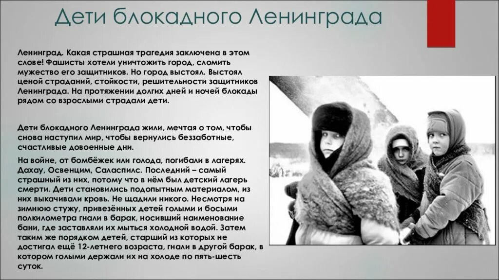 Рассказы блокадников